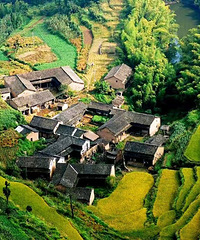 �߽�����