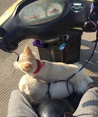 �������һ���˸��µ�С������������