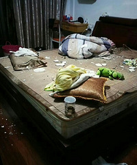 临海:楼上住户铺地板,结果搞得楼下住户的房顶“脑洞大开”!