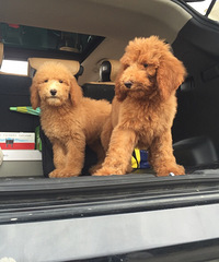 �޹����С��һ��