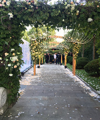 ���μ��˸�����ɭϵ����