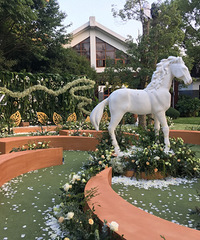 ���μ��˸�����ɭϵ����