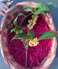 ˭�µó���������ʲô��