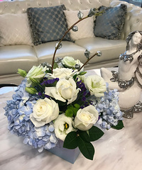 ����֮�±����廨~