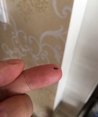 ����Ī������������С�� ������ô