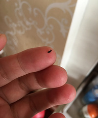 ����Ī������������С�� ������ô