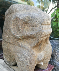 ֪������ʲô��