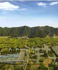 �ڴ��Ѿõ�ʪ�ع�԰