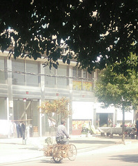 �����ϡ��չ�����ô�࣬�������Ĺ�����