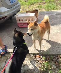 ������Ȯ��������