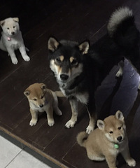 ������Ȯ��������