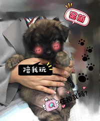 ��ת��ʮ����ʱ������ͱ��к���С��