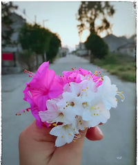 �Ϲ����˶�������һ����