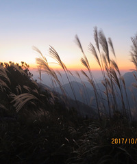 �ٸڼ���㵴��ɫ ����⿴�������͡����ٴδ�Խ�㵴�ļ�