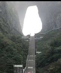 ����ս�żҽ�����