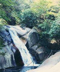 ��̨ʯ��ͽ��һ����