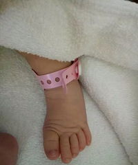 �����Ĳ�����������