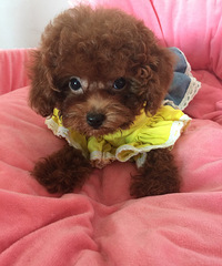 �����Լ�����̩�Ϲ��豭�������