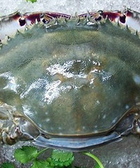 С���³��� ���ر�������з