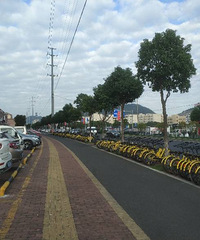 �����ϡ�С�Ƴ���ռ�Ƕ�