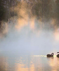 ����ĺͺϹ�԰