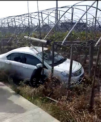 ���ӿ��������Ѽ�