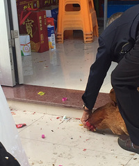 �μ��˸��Ϲ������ݵĻ��� ������Ů��