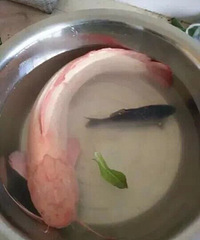 ���͹��㣿ͨ��ۺ�