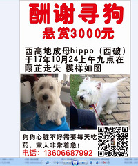 ��û���˿����ҵĹ�