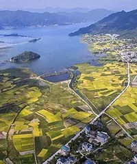 ��̶���ߵ�������