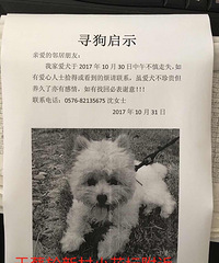 �ؽ�Ѱ����