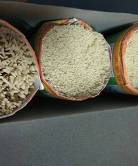 �Թ���������