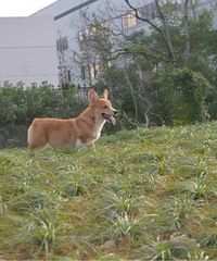 �»���Ȯ����