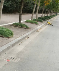 ���۸��᡿��������Դ�С�Ƴ���