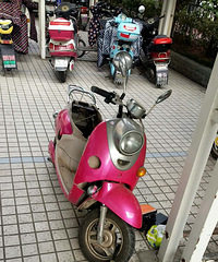 �����ϡ�ŷ��ͣ����������ƿ���ĵ�ƿ������С͵̫�ɶ��ˣ�