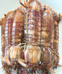 ���ž����