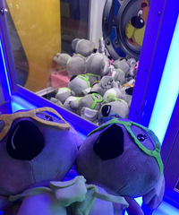 ϲ�����˼ӽ��빽������ʲô��ϣ�