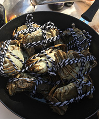 ��̶Ұ�� ���˹��� �Դ�ʳ��