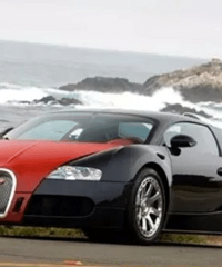 ����������͵�10� ������Ķ�����