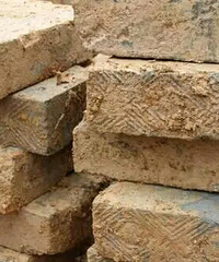 �°���������Ĺ