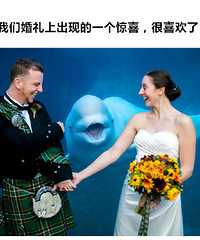 Ϸ������ʽ�����߻�ɴ�գ�Ϸ�����㣡