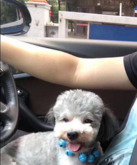 11��6���賿õ��԰������ʧ