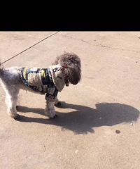 11��6���賿õ��԰������ʧ