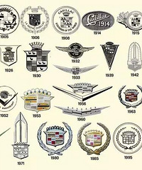 ��֪�������������