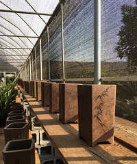 ̨�ݻ�ľ������רҵ������