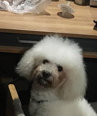 ·��Ѱ������ɫ���ܣ����һǧ