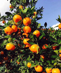 �Լ�ɽ���ֵ��۸̣���������ϵ�ң�18767697656