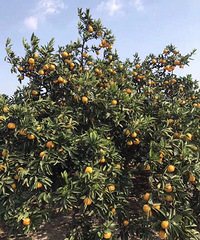 �Լ�ɽ���ֵ��۸̣���������ϵ�ң�18767697656