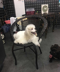 �׹�����ƫ��13�����ң���lucky