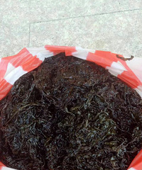 知道这是什么好吃的东西吗?